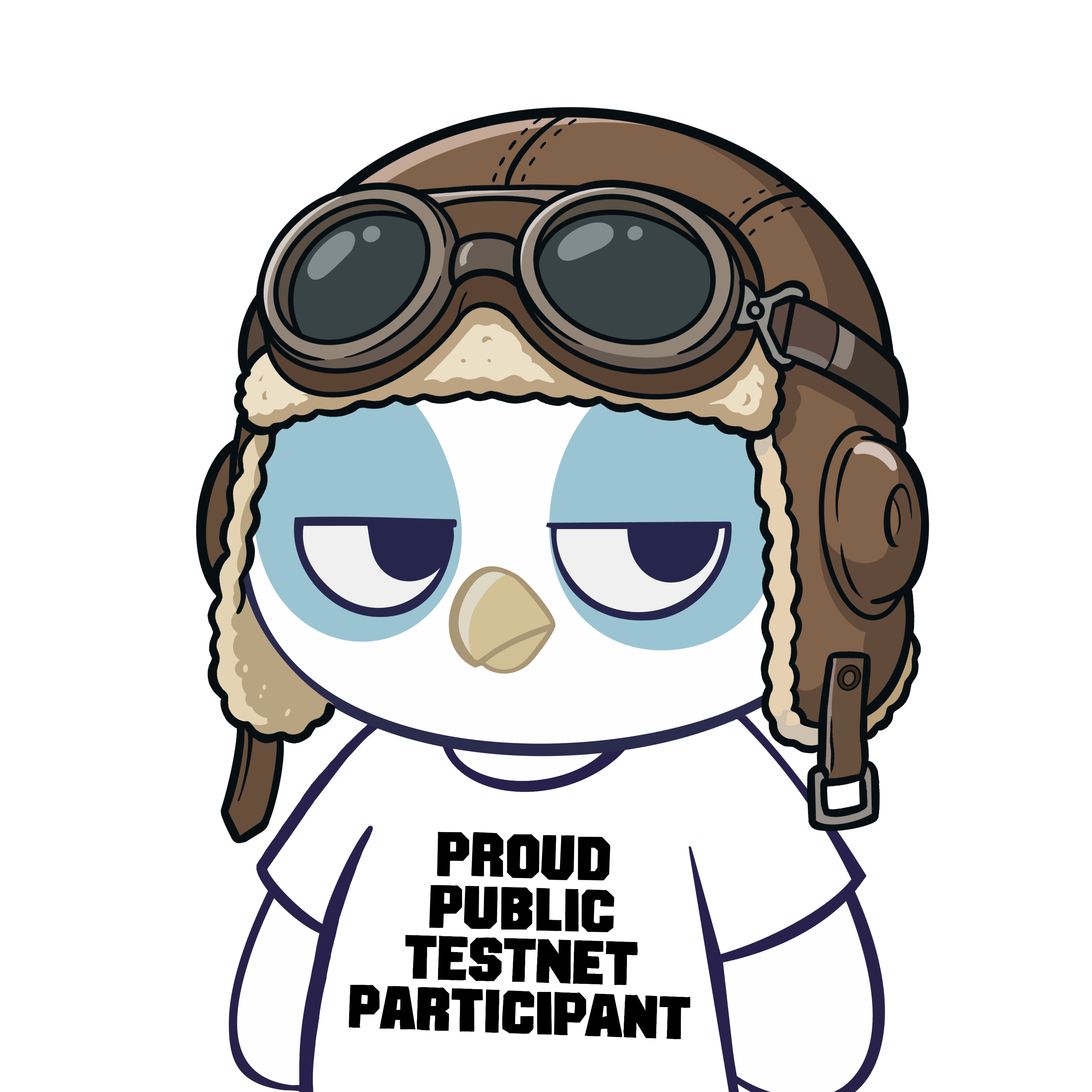 Proud Public Testnet Participant